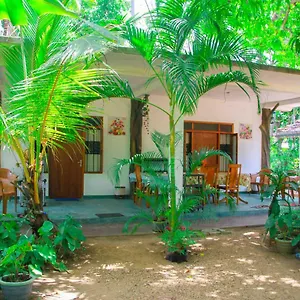 https://amba-sewana-homestay.kandyhotelsnow.com